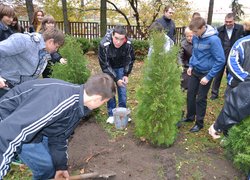 Акція "Посади дерево"